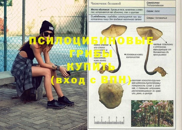 Альфа ПВП Балабаново