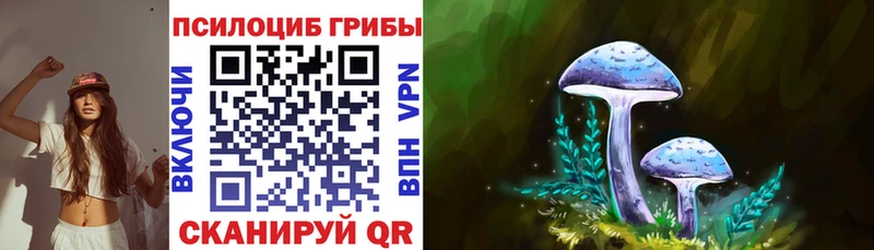 blacksprut ссылки  Белёв  Галлюциногенные грибы Cubensis 